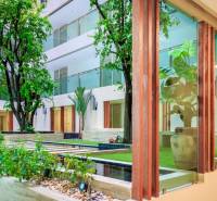 Interior atrium with vegetation and wooden elements, Apartment construction.