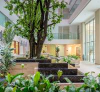 Bright interior with plants and an indoor courtyard, apartment construction.