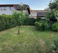 The garden of a family house in Lučenec with a lawn, trees, and a dense hedge.