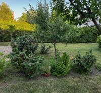 A garden at a family house in Lučenec with fruit bushes and trees.