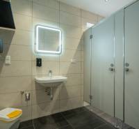 Modern office restroom with a mirror, sink, soap dispenser, and enclosed stalls.