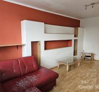 Living room with a red couch and a shelving system in a 2-room apartment.