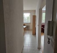 A hallway with tiles leading to the living area in a 2-room apartment.
