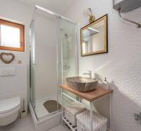 A bathroom in a family house with a shower, a countertop sink, and a toilet.
