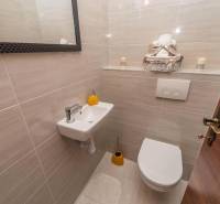 A bathroom in a family house with a mirror, sink, and toilet in neutral tones.