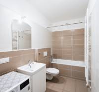 Bathroom with a shower, sink, and washing machine in a 2-room apartment.