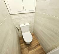 A bathroom in a 3-room apartment with wooden flooring and subtle wall tiles.