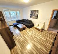 Living room in a 3-room apartment with a sofa, an armchair, and a picture on the wall.