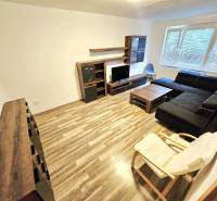Living room in a 3-room apartment with a dark sofa and wooden furniture.