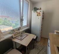 Kitchen in a 3-room apartment with a dining table and a refrigerator, view of urban greenery.