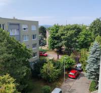 Gagarinova Street in Senec with greenery and parked cars near a 3-room apartment.
