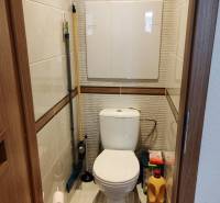 A toilet in a 3-room apartment with storage space for cleaning supplies.