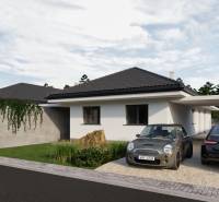 A family house with two cars on the street, roof covering, and green bushes.
