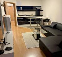 Living room with kitchen, leather sofa, bar counter, and television in a 2-room apartment.