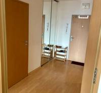 A hallway with a wooden floor and a built-in wardrobe in a 2-room apartment.