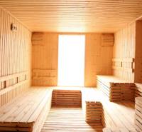 Wooden sauna with benches, natural light; Apartment construction.