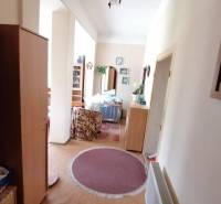 Hallway in a family house with furniture, carpets, and plants.