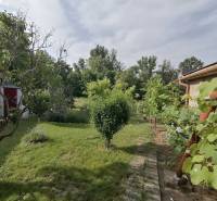 The garden of the family house in Hrkovce surrounded by greenery and trees.