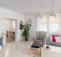 Living room in a family house, comfortable sofa, armchair, houseplants, and decorations.