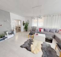 Living room in a family house with a large couch, TV, plants, and rugs on the floor.
