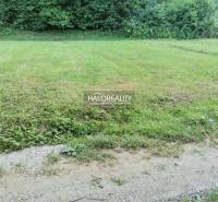 Lands - housing in Modrová include a grassy area near the forest with a road.