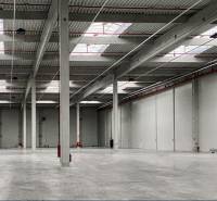 Spacious interior with columns and skylights, Warehouses and halls.