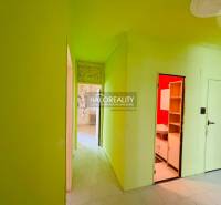 A corridor in a 3-room apartment with green walls and access to the rooms.