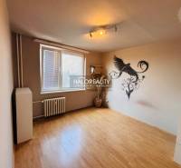 A room in a 3-room apartment with wooden flooring and a wall decoration of a bird.