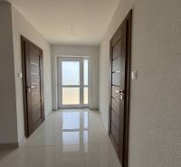 A hallway in a family house with white walls and dark doors.