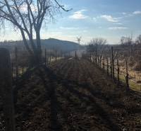 A rural view of recreational plots with a road, trees, and a hill in the background.