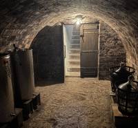 An ancient cellar with stairs, barrels, and a demijohn. Ideal for storing wine, recreational plots.