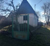 Small cottage surrounded by trees, fenced garden, ideal for recreational plots.