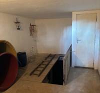 A cellar with a ladder and accessories, suitable for recreational properties, offers useful utilization.