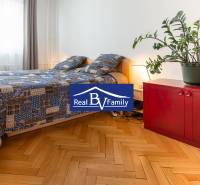 A bedroom in a studio apartment with a wooden floor, a bed, a red wardrobe, and a plant.