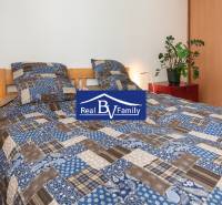 A bedroom in a studio apartment with blue and white bedding, plants, and a nightstand.