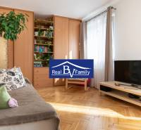 Living room in a studio apartment with a sofa, television, and a large wardrobe, light wooden parquet flooring.
