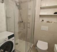 Bathroom with a shower, washing machine, toilet, and shelves in a studio apartment.