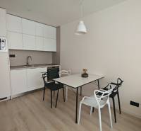 Kitchen in a studio apartment with a dining table and chairs, light wooden floors.