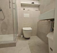 A bathroom in a studio apartment with a toilet, a shower corner, and shelves on the wall.
