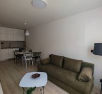Living room in a studio apartment with a kitchenette, table, sofa, and floor lamp.