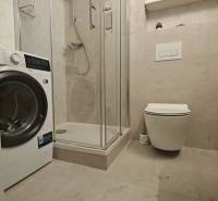 Bathroom with a washing machine, shower, and toilet in a studio apartment.
