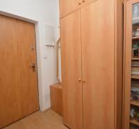 A hallway in a 2-room apartment with closets and entrance doors.