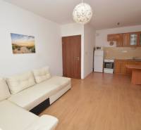 Living room connected to the kitchen in a 2-room apartment, white sofa, wooden floor and cabinets.