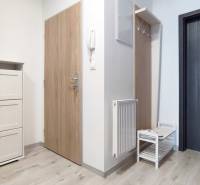Entrance area with wooden door and shoe cabinet in a 2-room apartment.