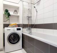 A bathroom in a 2-room apartment with a washing machine, bathtub, shelves, and a decorative plant.