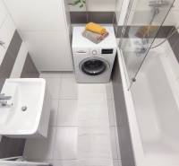 Bathroom of a 2-room apartment with a washing machine, bathtub, and sink, accessories succulents.