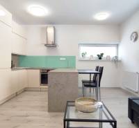 Kitchen and living area in a 2-room apartment with minimalist furniture and decorations.
