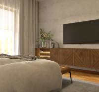 A bedroom in a 2-room apartment with a TV, a dresser, and decorative plants.