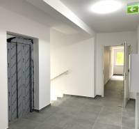 A corridor with a staircase, an elevator, and open doors to a 2-room apartment.