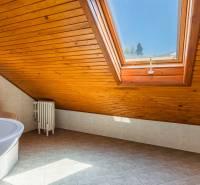 Attic bathroom in a family house with a skylight and wooden paneling.